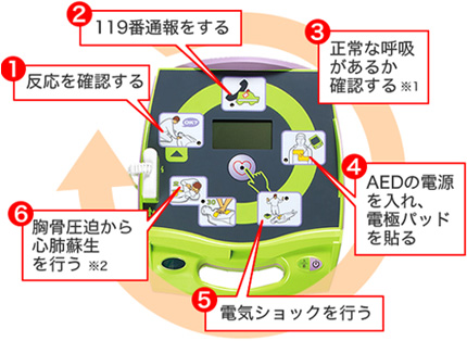 （1）反応を確認する。（2）119番通報をする。（3）正常な呼吸があるか確認する※1。（4）AEDの電源を入れ、電極パッドを貼る。（5）電気ショックを行う。（6）胸骨圧迫から心肺蘇生を行う※2。