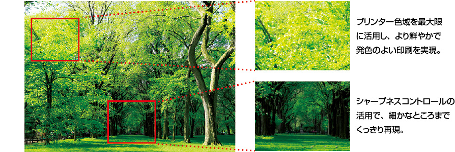 プリンター色域を最大限に活用し、より鮮やかで発色のよい印刷を実現。シャープネスコントロールの活用で、細かなところまでくっきり再現。