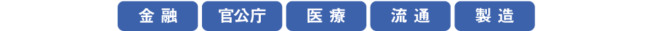 金融/官公庁/医療/流通/製造
