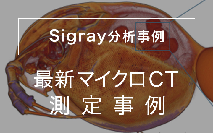 Sigray分析事例 最新マイクロCT測定事例