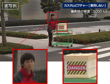 実写例 カスタムピクチャー［使用しない］ 撮影時の照度：5000lux