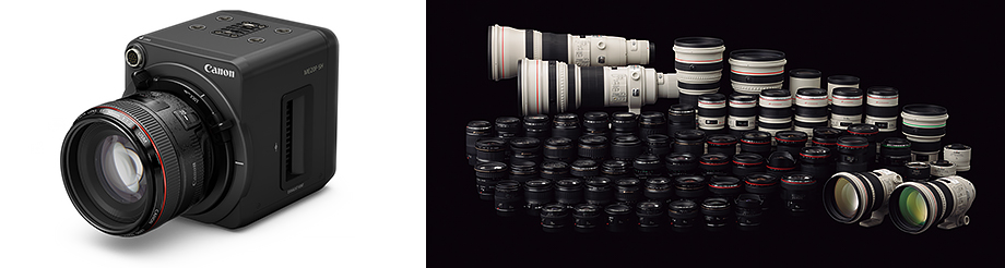 写真：豊富なラインアップのEFレンズ