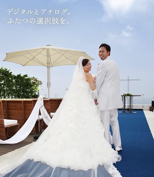 デジタルとアナログ。ふたつの選択肢を。