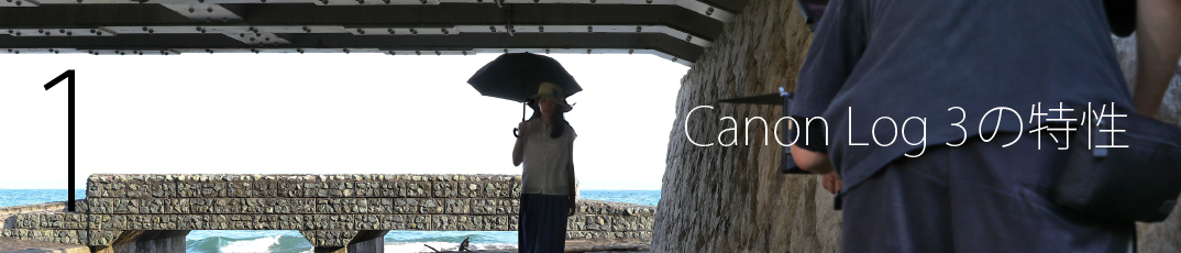 1 Canon Log 3の特性