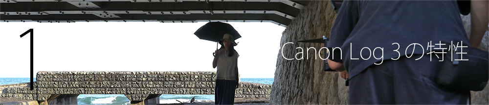 1 Canon Log 3の特性