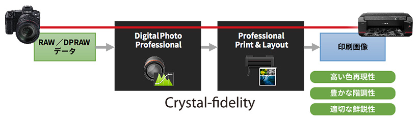 RAW／DPDRAW データ→Crystal-findelity（Digital Photo Professional→Professional Print&Layout）→印刷画像：高い色再現性／豊かな階調性／適切な鮮鋭性