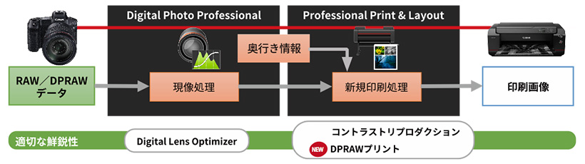 RAW/DPRAWデータ→Digital Photo Professional(現像処理、奥行き情報)→Professional Print&Layout(新規印刷処理)→印刷画像 適切な鮮鋭性:Digital Lens Optimizer、コントラストリプロダクション、NEW DPRAWプリント