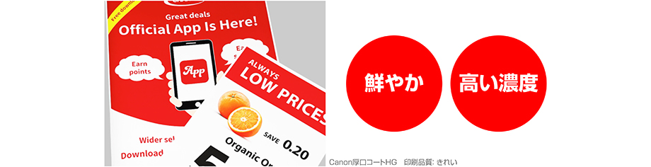 サンプル:鮮やかで高い濃度