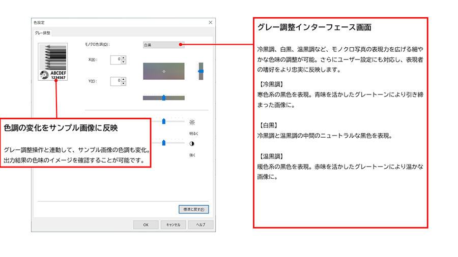 ドライバーモノクロ詳細設定画面