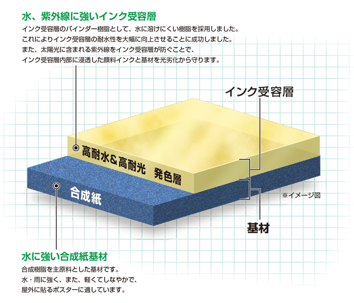 水、紫外線に強いインク受容層：インク受容量のバインダー樹脂として、水に溶けにくい樹脂を採用しました。これによりインク受容量の耐水性を大幅に向上させることに成功しました。また、太陽光に含まれる紫外線をインク受容層が防ぐことで、インク受容層内部に浸透した顔料インクと基材を光劣化から守ります。水に強い合成紙基材：合成樹脂を主原料とした基材です。水・雨に強く、また、軽くてしなやかで、屋外に貼るポスターに適しています。