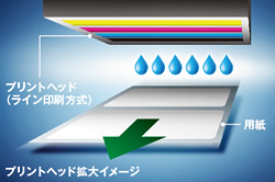 プリントヘッド拡大イメージ