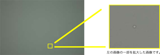 リング状の像の写真