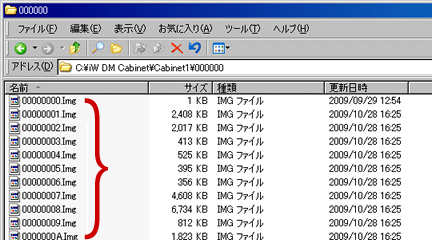 図1.Windowsのフォルダー上に存在するボリュームブロックファイル
